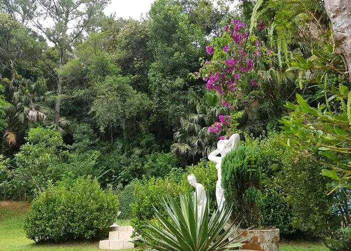 Domus Espaco In Sol E Natureza