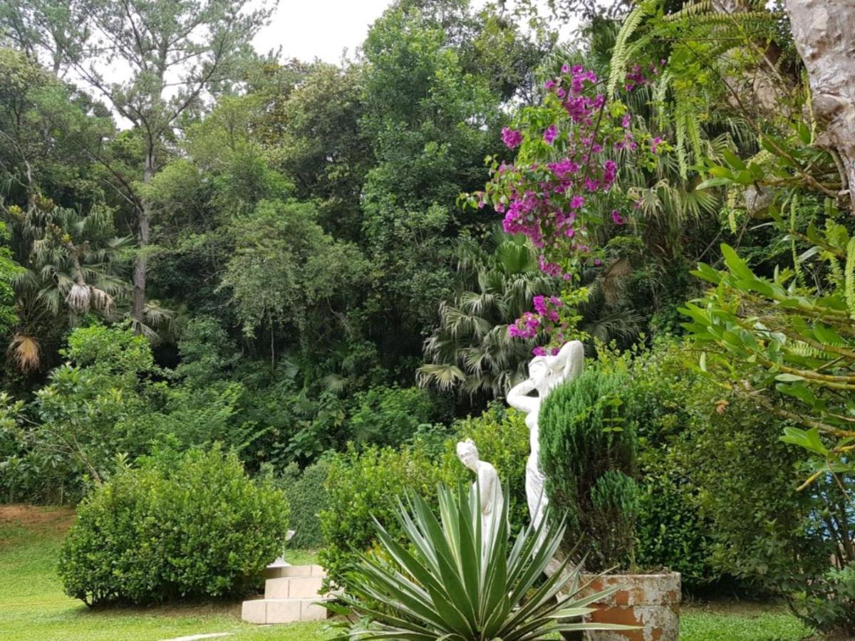 Apartment Domus Espaco In Sol E Natureza
