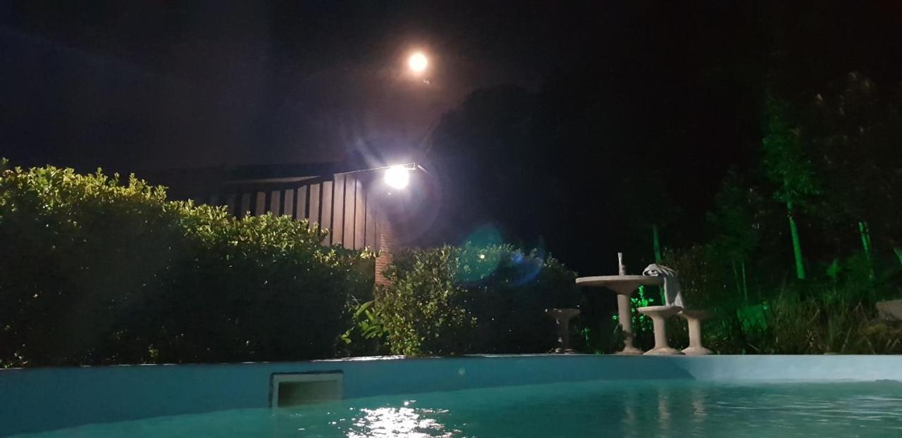 Domus Espaco In Sol E Natureza Blumenau